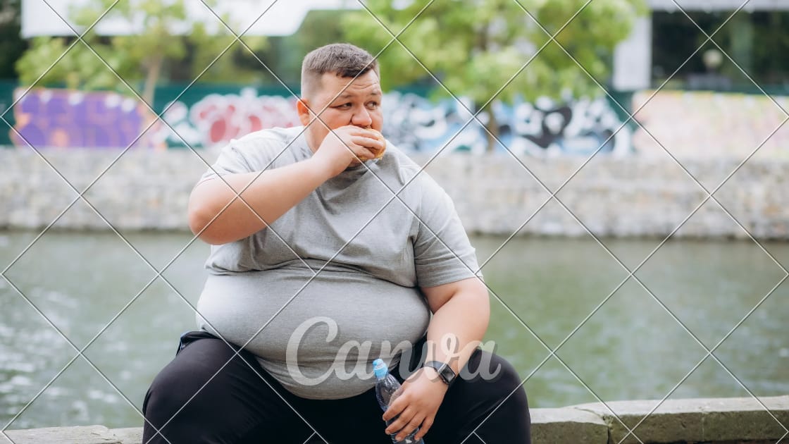Obesity 2